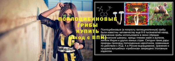 каннабис Пестово