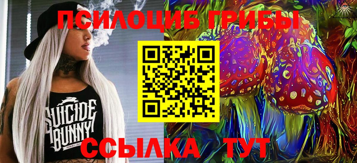 Галлюциногенные грибы прущие грибы Камышин