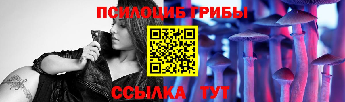 Псилоцибиновые грибы Psilocybe  Камышин 