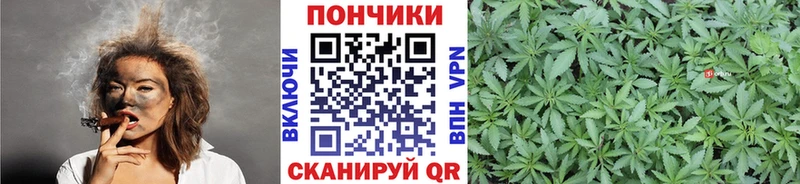 МАРИХУАНА OG Kush Камышин