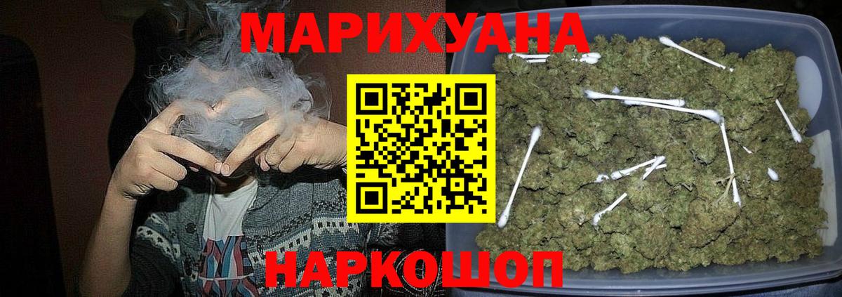 МЕФ Камышин