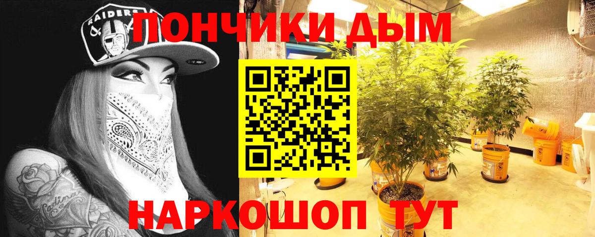 Бошки марихуана сатива Камышин